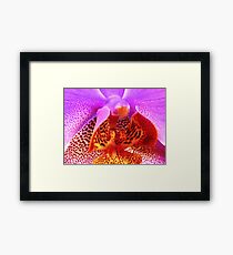 Dots, dots, dots ... Framed Print