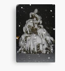 Weight Canvas Print