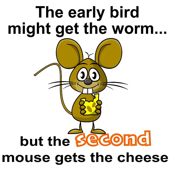 the second mouse gets the cheese