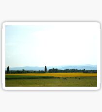 French Countryside Sticker