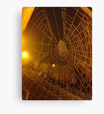 Spider web Canvas Print
