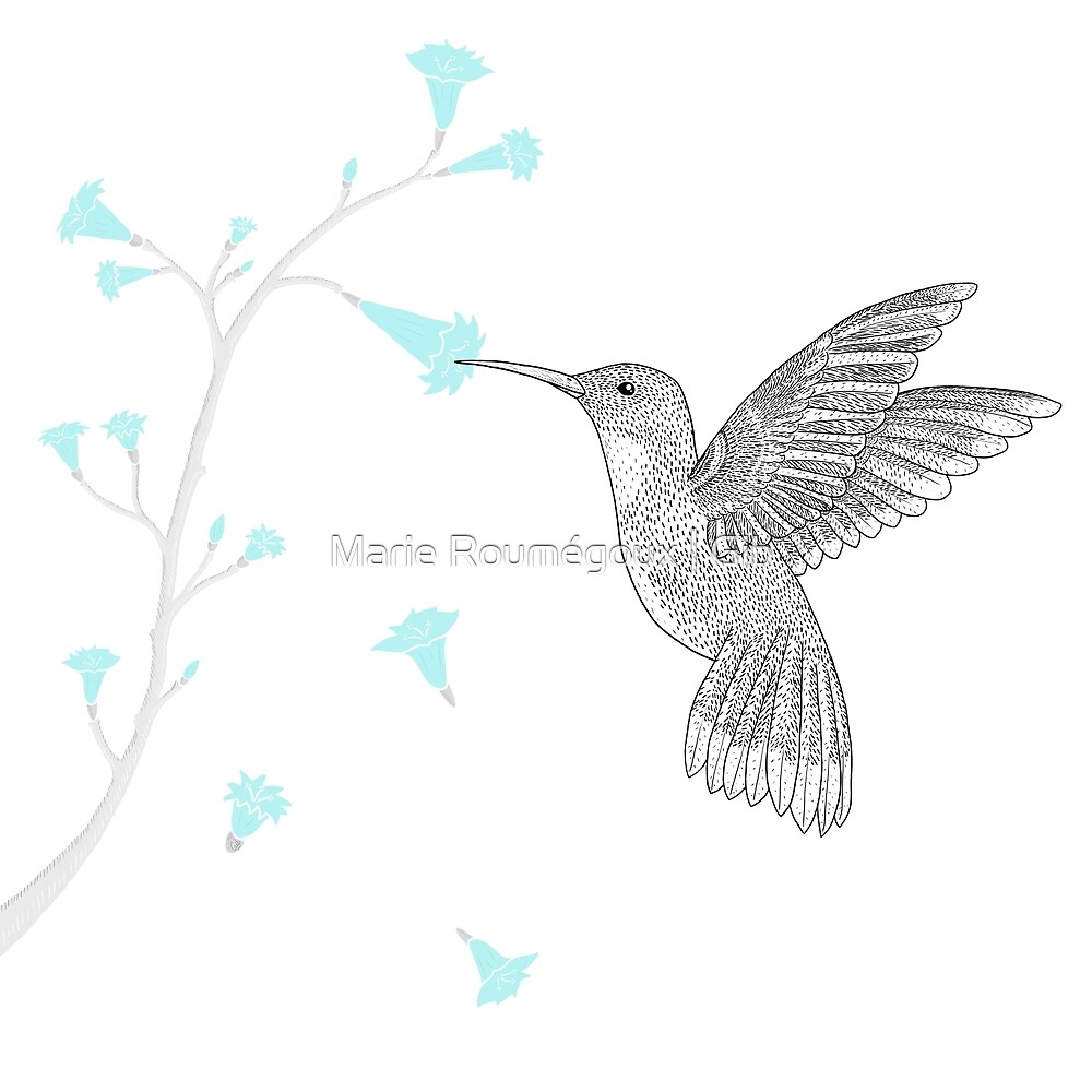 Hummingbird by Marie Roumégoux | Gib