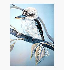 Cool Kookaburra Photographic Print