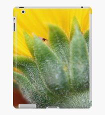 Backdrop iPad Case/Skin