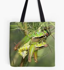 Mating Short Horned Grasshoppers Tote Bag