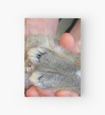 WOW!!- This Is Sooooo Comfy!! - Baby Bunny - NZ Hardcover Journal