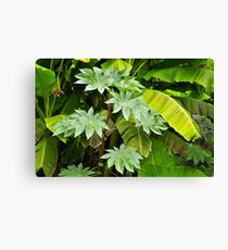 Banana Leaves Canvas Print
