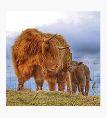 Gypsy and her daughter Moon Photographic Print