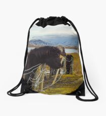Islandpferde, Grundarfjordur, Snaefellsnes, Island Turnbeutel