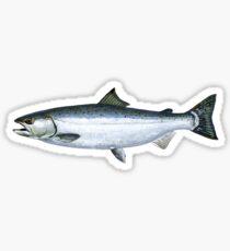 Pegatina Salmón