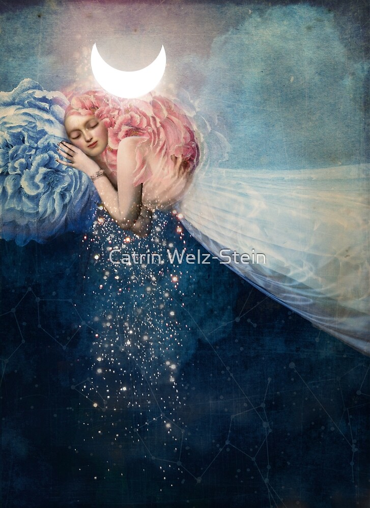 Résultat de recherche d'images pour "catrin welz-stein the sleep"