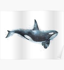Orca Poster