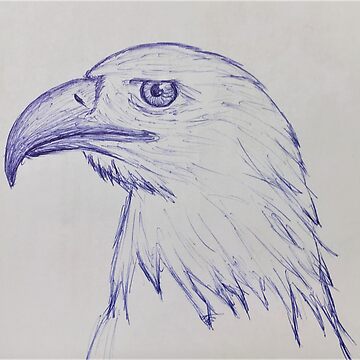 Pen and Ink Drawing Supplies: Your Starter Set! | Craftsy | www.craftsy.com