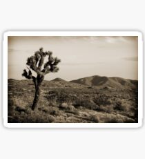 Joshua Tree Sticker
