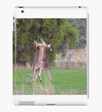 Kangaroos iPad Case/Skin