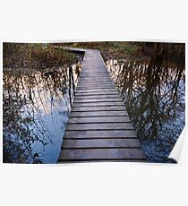 reflections Poster