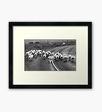 Traffic Jam - Donegal Style Framed Print