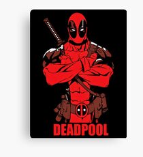cool Canvas Print