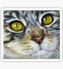 Blink Macro Cat Painting Sticker