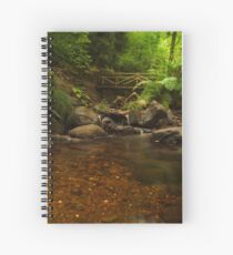 Forest river Spiral Notebook