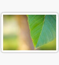 Leaf Sticker