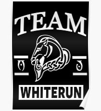 Team Whiterun Poster