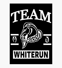 Team Whiterun Photographic Print