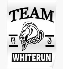 Team Whiterun Poster