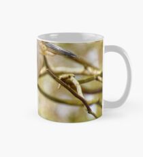 Night Heron Portrait Mug