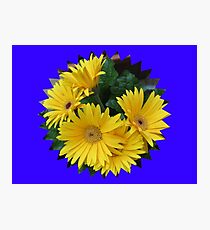 Yellow Daisies Vignette Photographic Print
