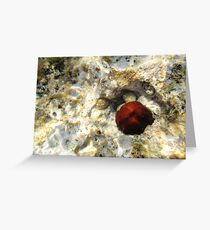 Diving Greeting Card