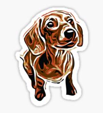 Dachshund Sticker