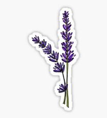 Lavender Sticker