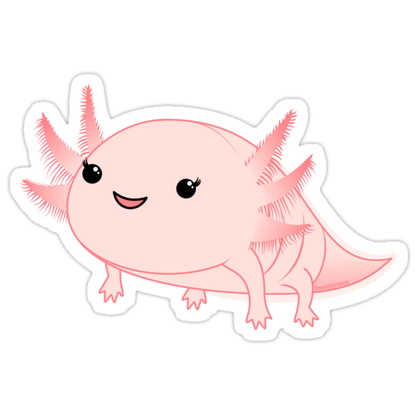 axolotl mewaii