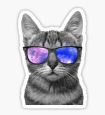 Pegatina Space Kitty