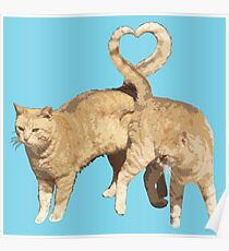 Póster Love cat