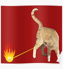 Póster Gato asesino