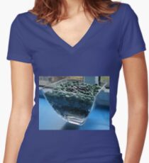 Blue Window Display Women's Fitted V-Neck T-Shirt