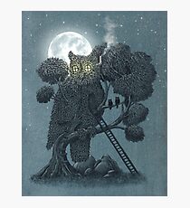 Night Watch Photographic Print