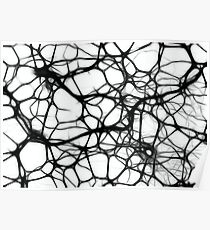 Neurons Poster