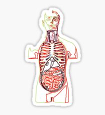 Human Medical Anatomy biology t shirt Sticker