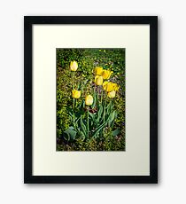 yellow flower Framed Print