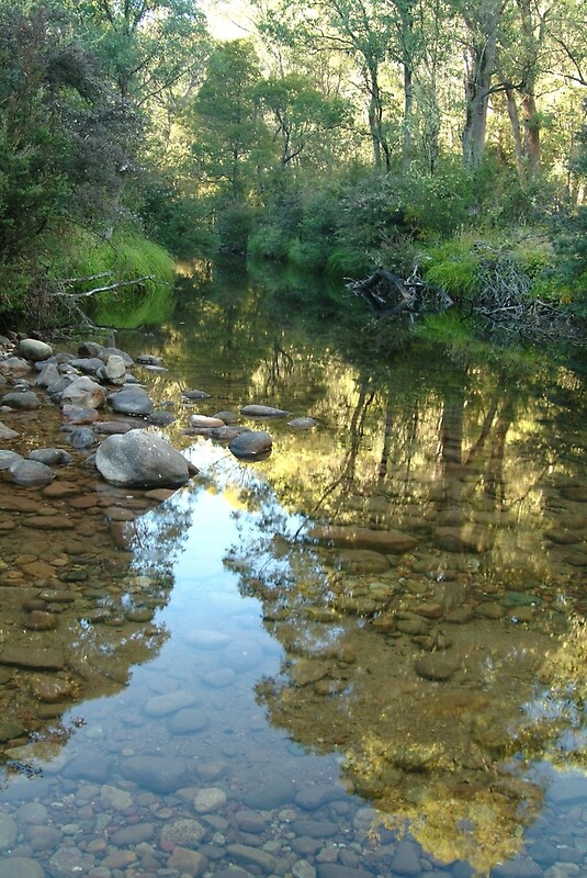 "Joe Mortelliti Gallery King River, Alpine Victoria, Australia." by thisisaustralia Redbubble