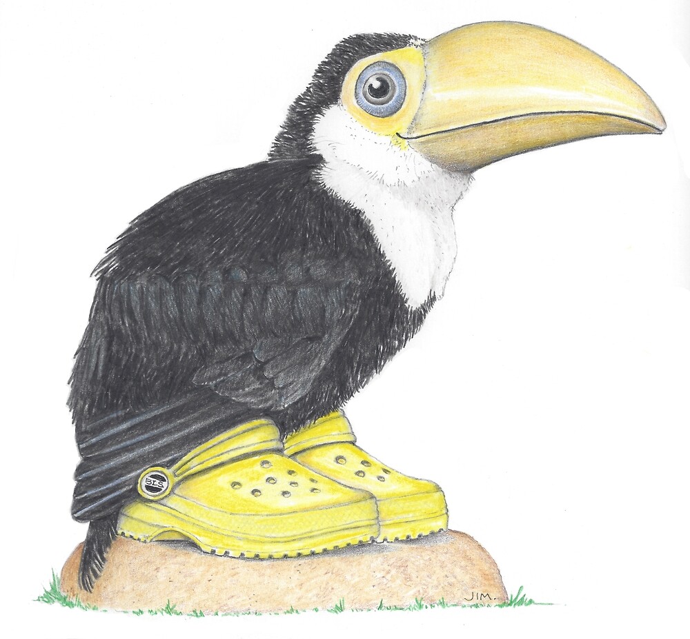 Toucan Chick in Clogs by JimsBirds