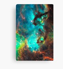 Galaxy / Seahorse / Large Magellanic Cloud / Tarantula Nebula Canvas Print