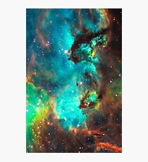Galaxy / Seahorse / Large Magellanic Cloud / Tarantula Nebula Photographic Print