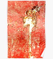 Dancer Poster
