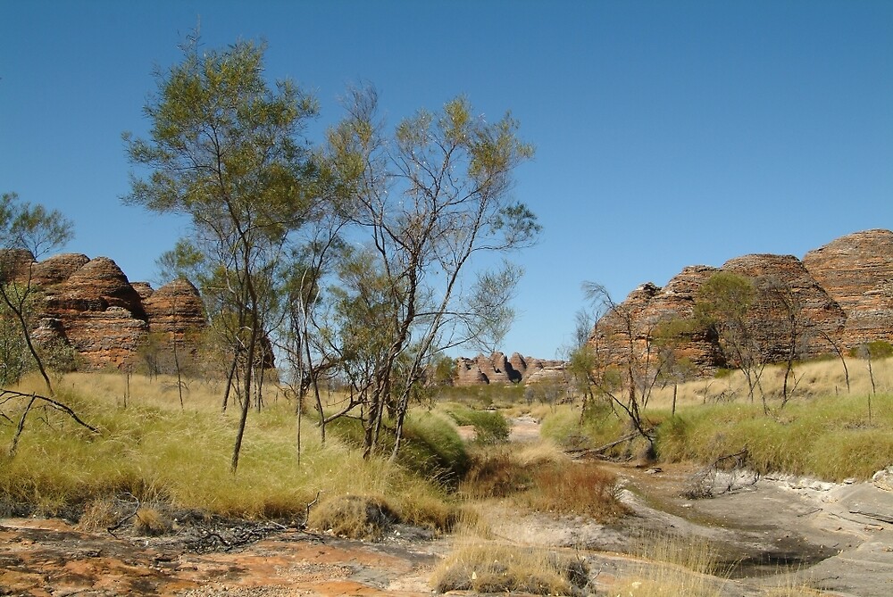 Joe Mortelliti Gallery - Purnululu National Park, or Bungle Bungle, Kimberley, Western Australia. by thisisaustralia
