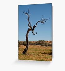 Joe Mortelliti Gallery - Gidgee Tree, Simpson Desert, Queensland, Australia. Greeting Card