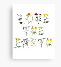 Love The Earth Canvas Print